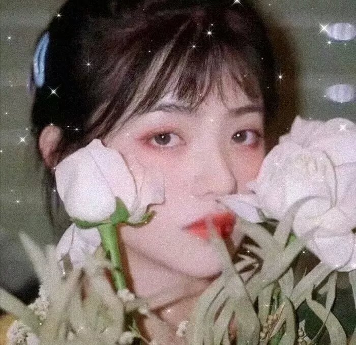 影子军队